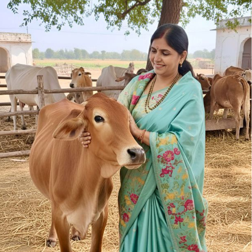 🐄 परिवर्तन की शक्ति: आपका सहयोग नंदिनी गौशाला को कैसे सशक्त बनाता है