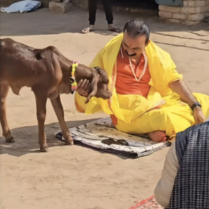 Nandini Gaushala: A Sanctuary of Compassion & Cultural Heritage