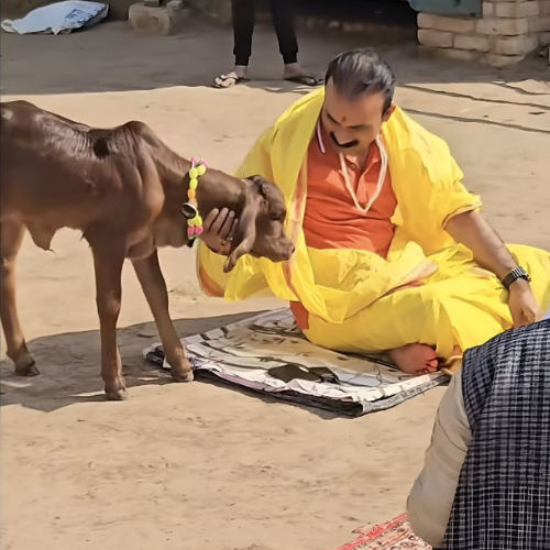 Nandini Gaushala: A Sanctuary of Compassion & Cultural Heritage Nandini Gaushala: A Sanctuary of Compassion & Cultural Heritage